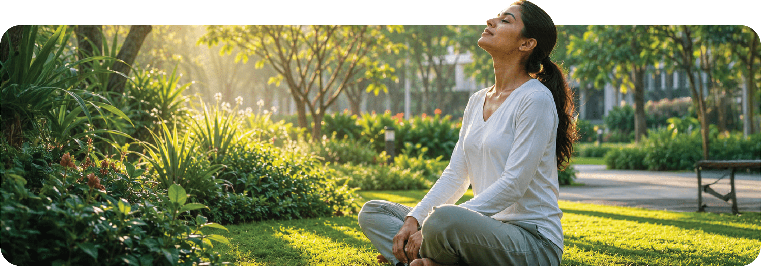 Wellness and mindfulness park